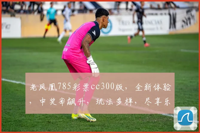 老凤凰785彩票cc300版，全新体验，中奖率飙升，玩法多样，尽享乐趣，不容错过