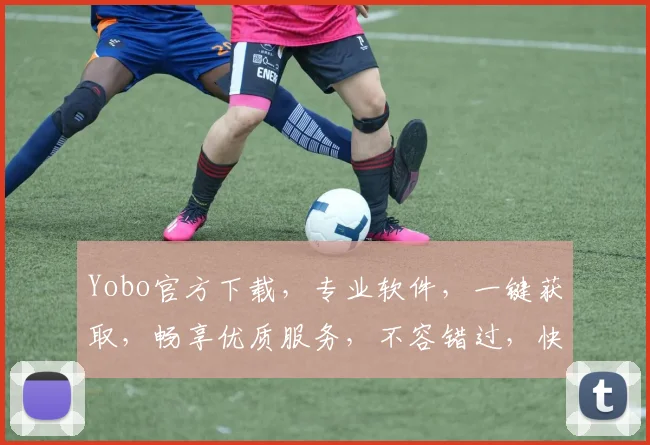 Yobo官方下载，专业软件，一键获取，畅享优质服务，不容错过，快速下载体验
