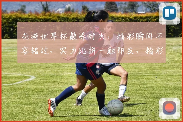 花游世界杯巅峰对决，精彩瞬间不容错过，实力比拼一触即发，精彩赛事等你来观