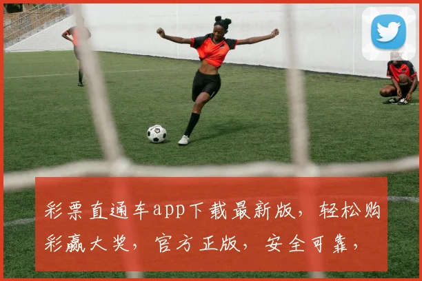 彩票直通车app下载最新版，轻松购彩赢大奖，官方正版，安全可靠，立即下载